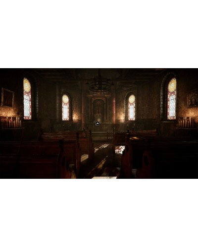 Amerzone The Explorer's Legacy Limited Edition PS5  + nakładki na analogi 