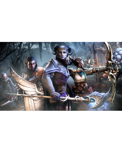 Dragon Age Straż Zasłony The Veilguard Deluxe Edition XSX + gratis 