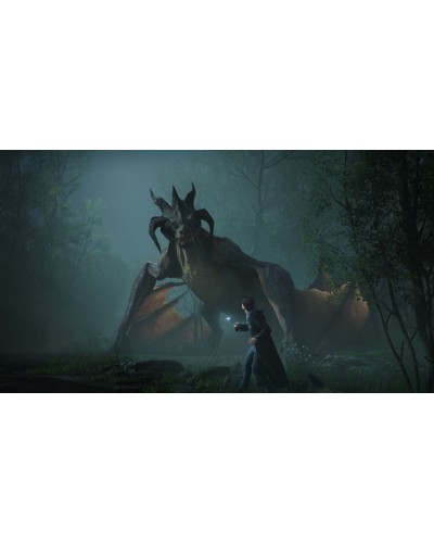 Hogwarts Legacy Deluxe Edition Dziedzictwo Hogwartu Switch 