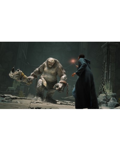 Hogwarts Legacy Deluxe Edition Dziedzictwo Hogwartu Switch 