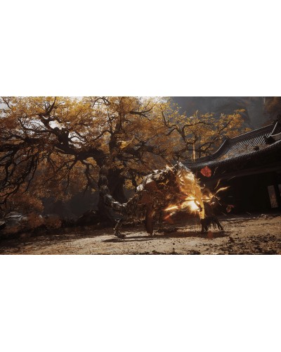 Black Myth Wukong Deluxe Edition PS5 PL + nakładki na analogi 