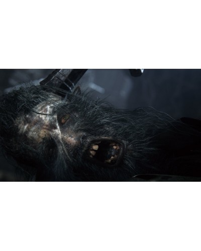 Bloodborne Goty PS4 + gratis 