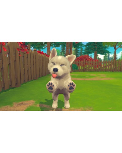 My Universe Puppies and Kittens Switch 