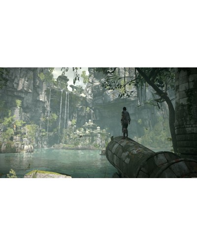 Shadow of the Colossus PS4 + gratis