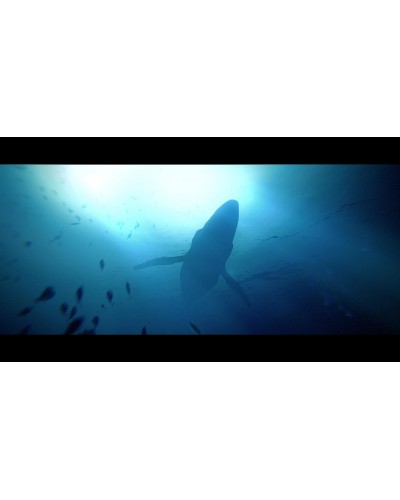 Under The Waves PS4 + gratis