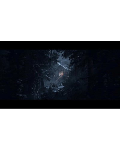 Until Dawn PS5 + gratis Promocyjna Strefa SONY